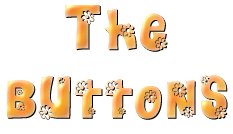 Buttons Logo